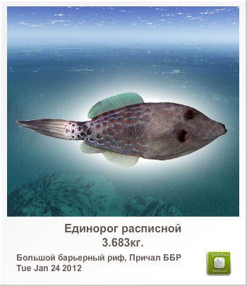 Владимир Куличенко | Арциз