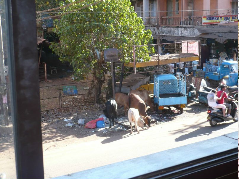 Николай Михайлов | Пермь