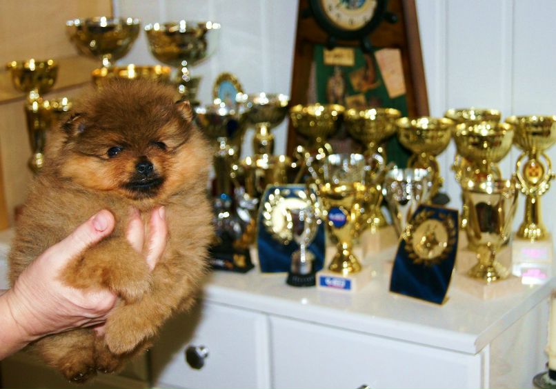 Андрей Човен Andr | Ростов-на-Дону