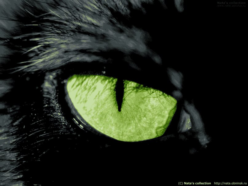 Юля Беляева | Краснодар