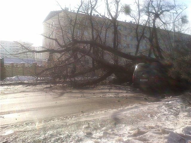 Анна Захарцева | Новороссийск