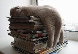 №100, Ксенія Орлова, Днепр (Днепропетровск) №100, Ксенія Орлова, Днепр (Днепропетровск)