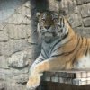 Аватар: Дмитрий Κарпов