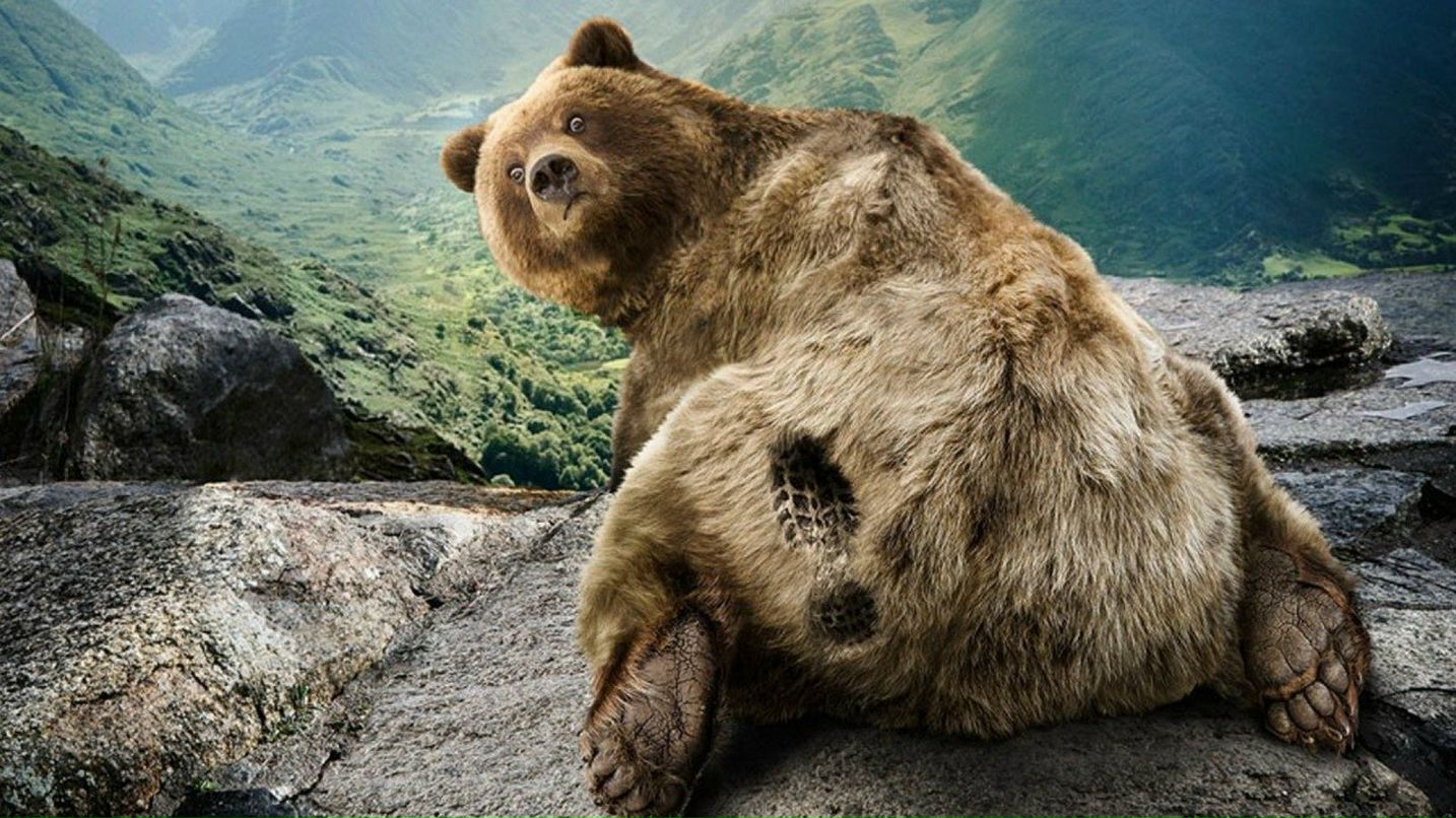 Игорь Гринчук | Житомир