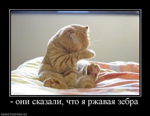 №13, Мария Дюбина, 8.5 №13, Мария Дюбина, 8.5