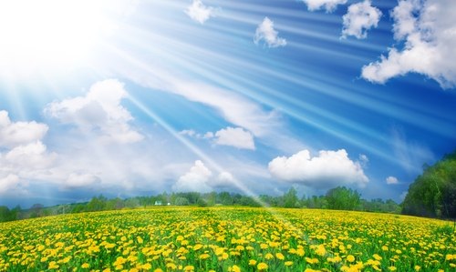 Александр Гапонюк | Санкт-Петербург