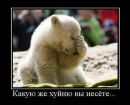 №8 Серёга Галушин : профиль, фото, статус - ВКонтакте №8 Серёга Галушин : профиль, фото, статус - ВКонтакте