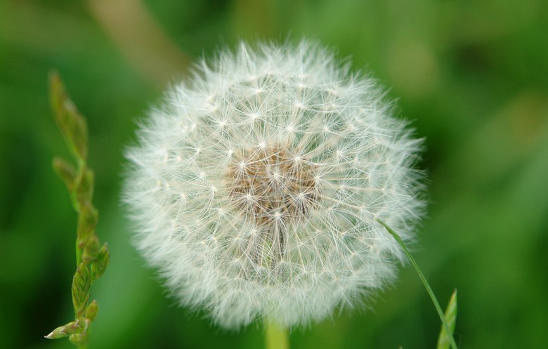 Мария Нафикова | 