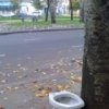 Аватар: Bzcs1o1 Bzcs1o1