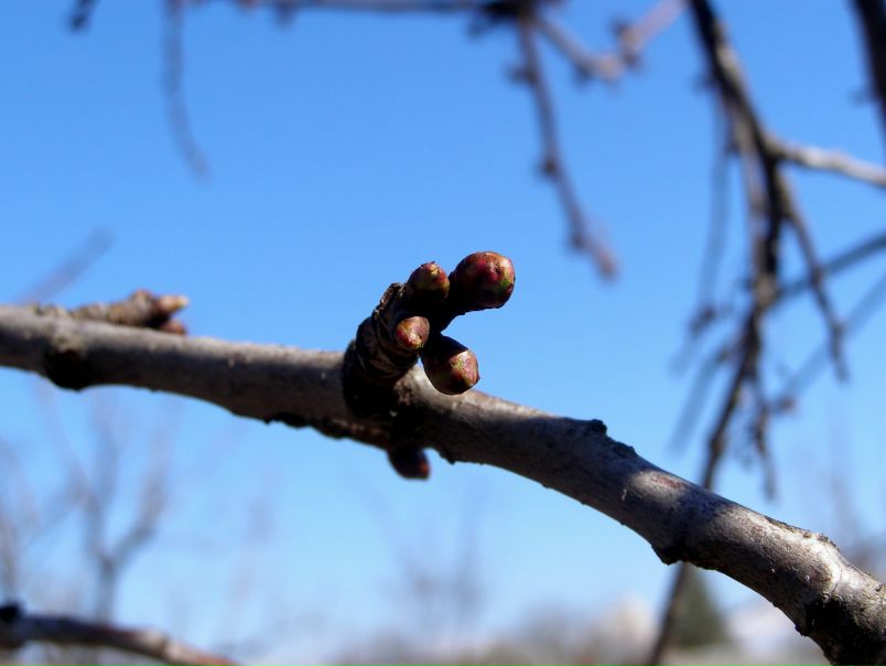 №15, Ксюша Вишнякова, 36 лет, Краснодар, Россия №15, Ксюша Вишнякова, 36 лет, Краснодар, Россия