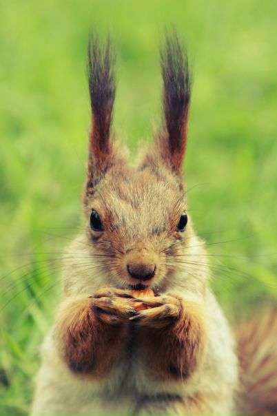 №43, Masha Masha, Санкт-Петербург №43, Masha Masha, Санкт-Петербург