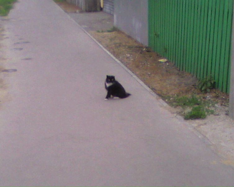 №27, Николай Кудрявцев, Йошкар-Ола, Россия №27, Николай Кудрявцев, Йошкар-Ола, Россия