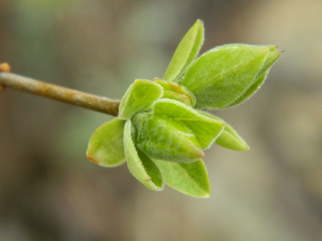 Виталий Михалюк | Киев