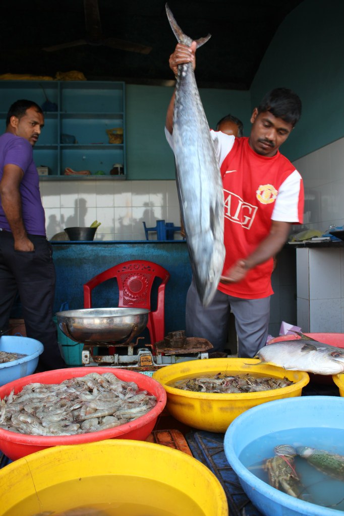 Наталия Сергеева | Москва
