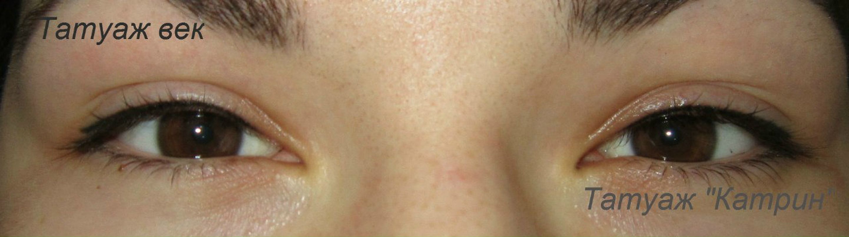 Екатерина Ящерица | Киев