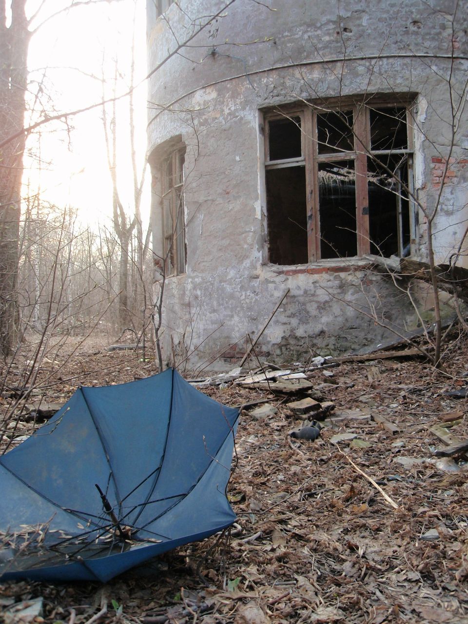 Дмитрий Шадчнев | Санкт-Петербург