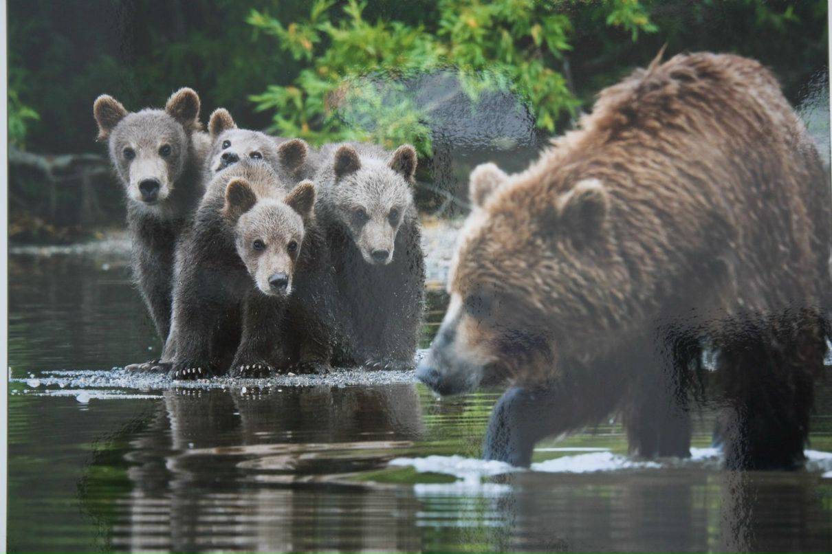 Ольга Лапшенкова | Москва