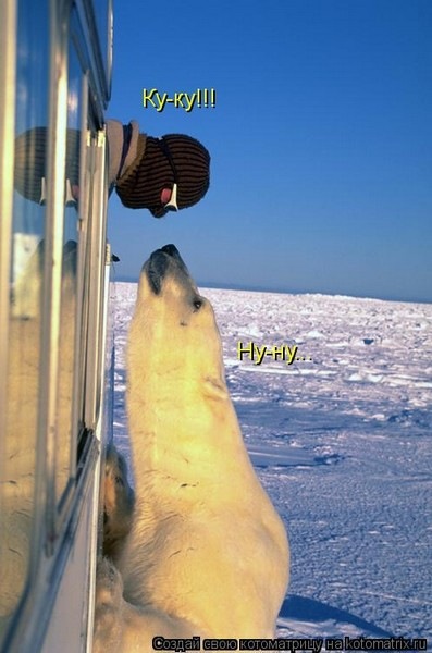 №12, Богдан Слюсар, 40 лет, Одесса №12, Богдан Слюсар, 40 лет, Одесса