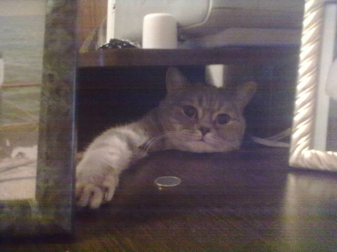 Макс Пивень | Мариуполь