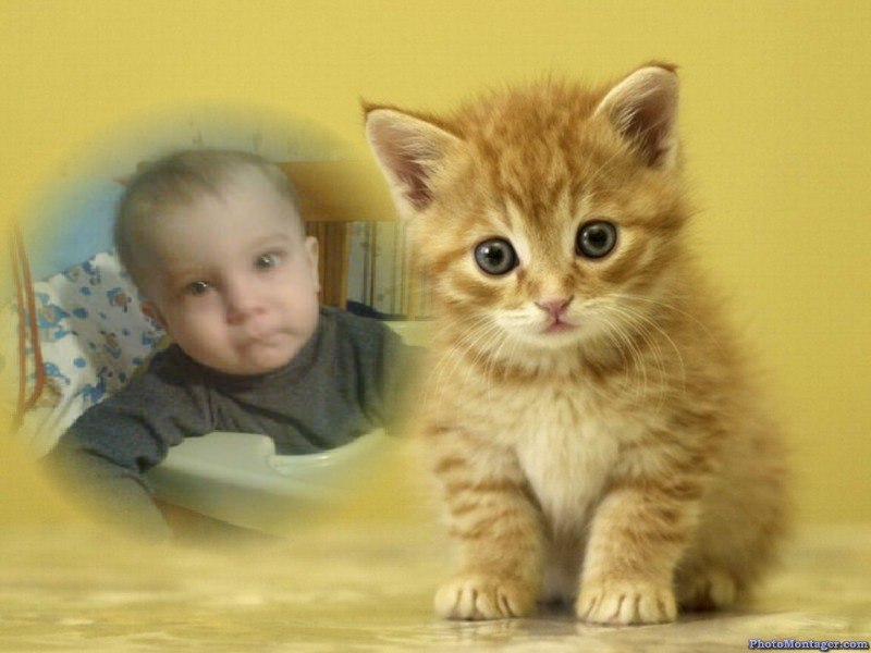 Сергей Шаталов | Киев