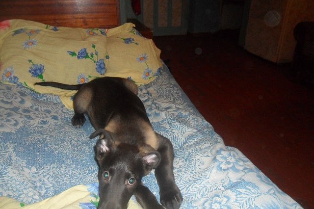 Анастасия Аношкина | 