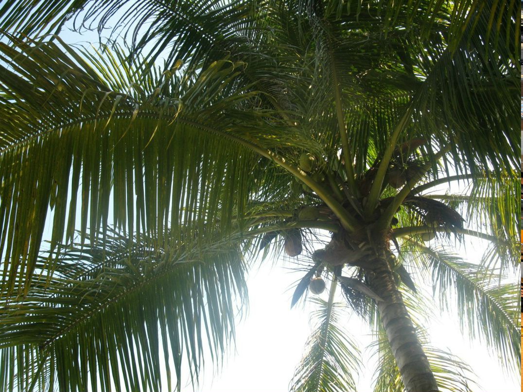 Светлана Полякова | Москва