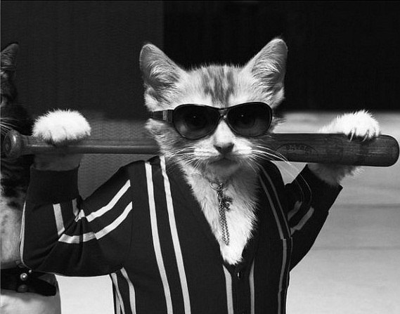 Дима Ванцовский | Черкассы