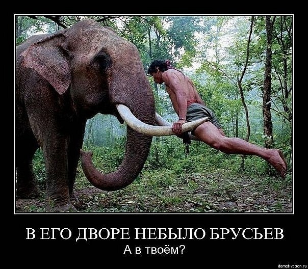 №104, Васийко Шалунішка, 35 лет, Волочиск №104, Васийко Шалунішка, 35 лет, Волочиск