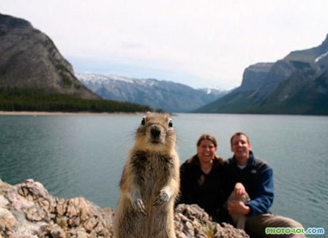 Петро Попов rom@ntik | Новоград-Волынский