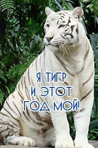 Димка Волков Липинский | Николаев