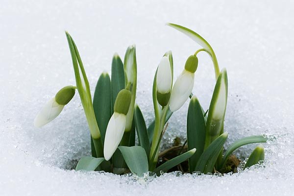 Екатерина Плотникова | Челябинск