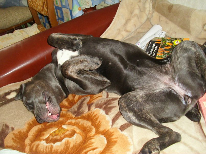 Анастасия Абросимова | Тула