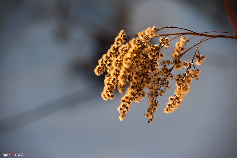 Александр Путёв Alex.Putev | Москва