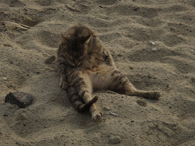 Мария Белая | Нижний Новгород