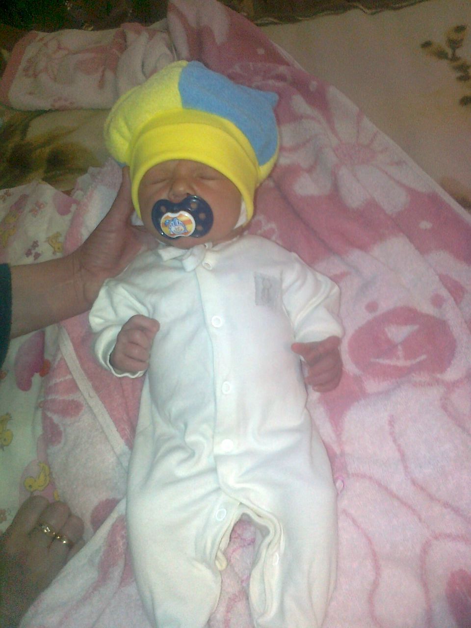 Димон Исаев | Зеленый Гай