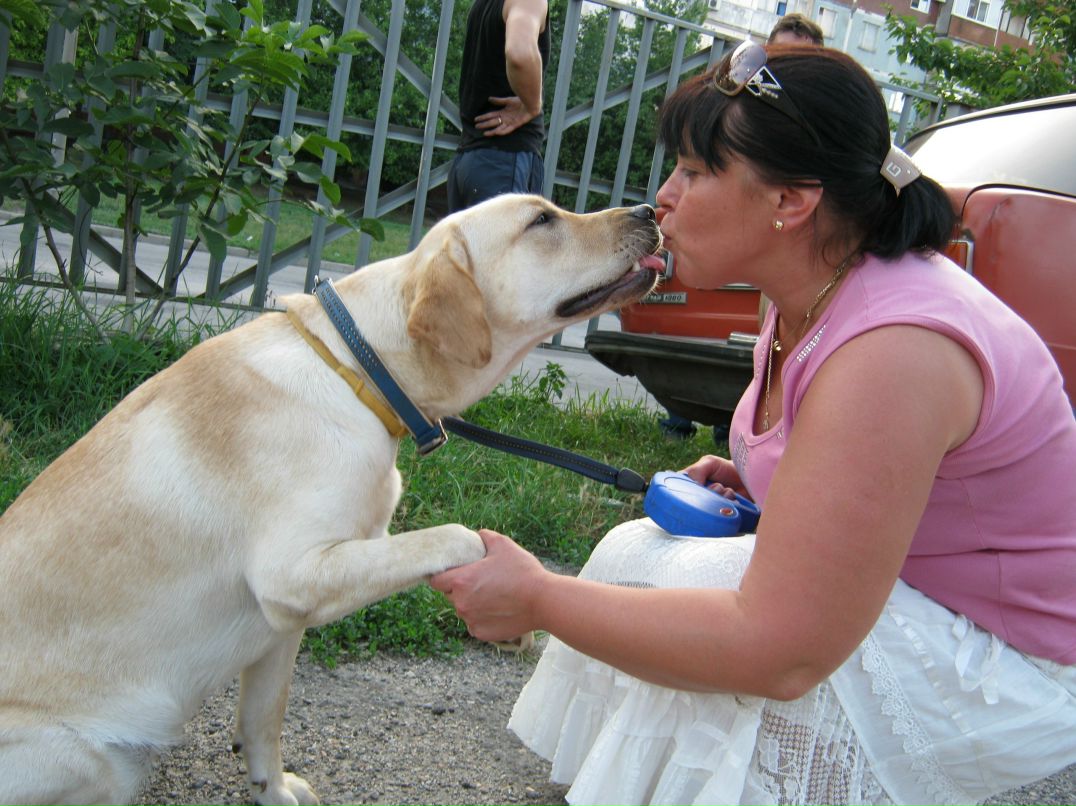 Наталья Смирнова | Запорожье