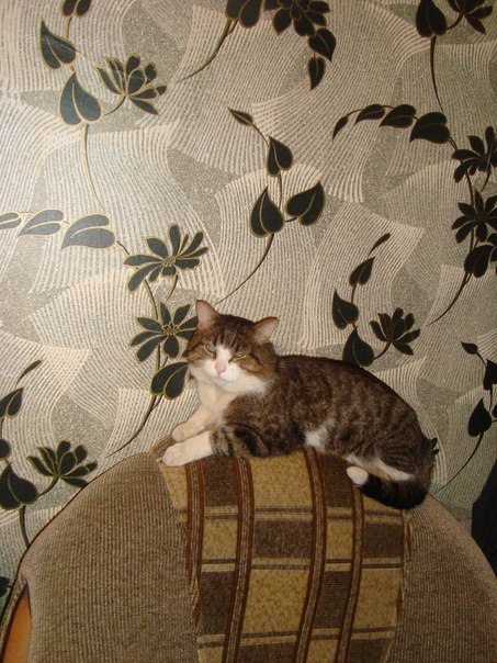 Екатерина Колбик | Красноярск