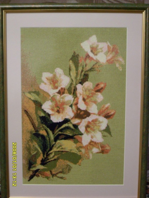 Ольга Павленко | Одинцово