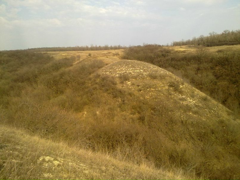 Жека Бровенко | Луганск