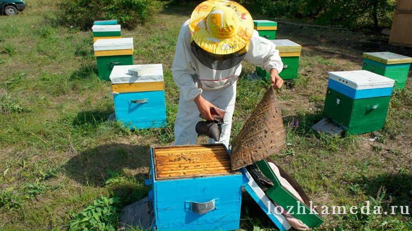 Виктор Белов | Санкт-Петербург