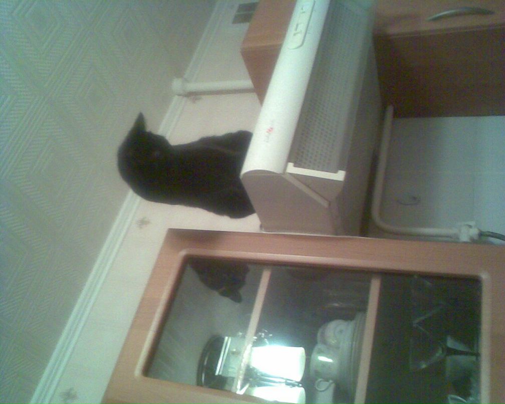 Елена Григоркина | Брянск