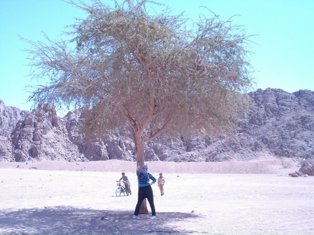 Алёна Рублева | Севастополь