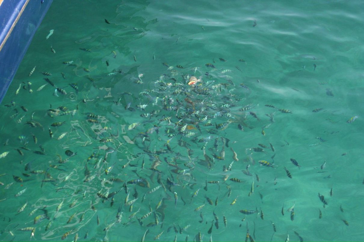 Ivan Grankin | Киев