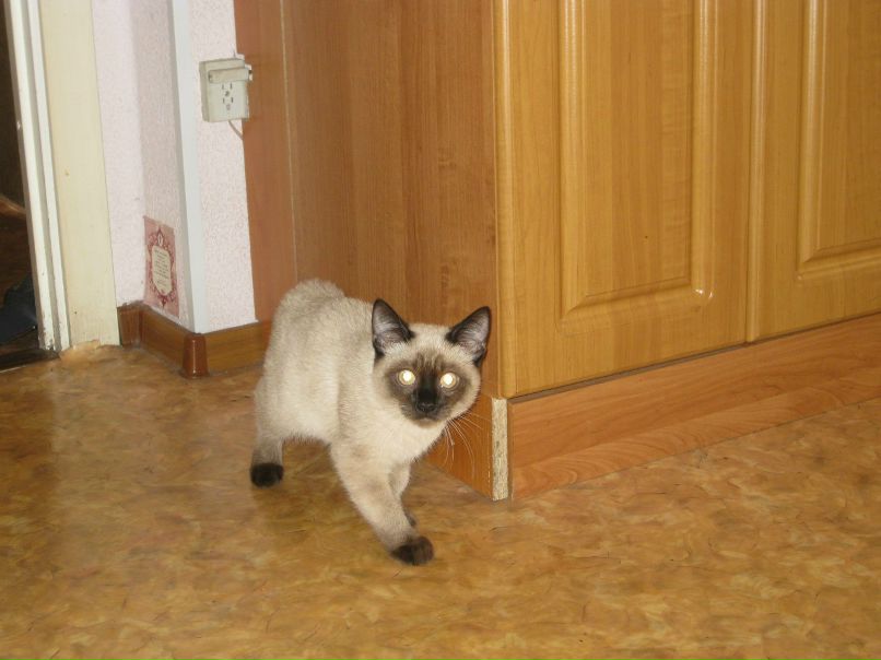 Марина Маркова | Санкт-Петербург