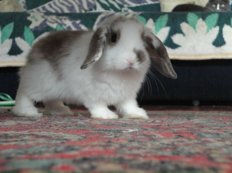 Катя Киселёва | Иваново