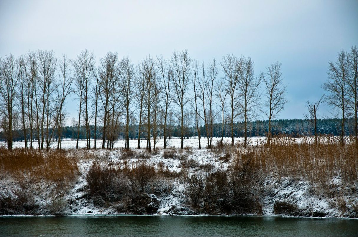 Александр Гребенников | Воронеж