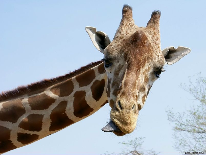 №75, Настёна Хамраева, 35 лет, Ялта №75, Настёна Хамраева, 35 лет, Ялта