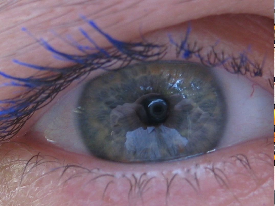 Наталья Янковская | Калининград