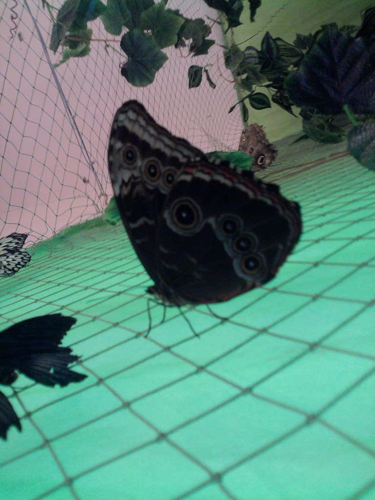 Катя Клименко | 