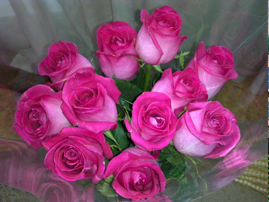 Виктория Денисова | Москва